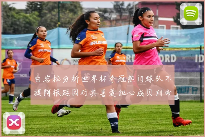 白岩松分析世界杯夺冠热门球队不提阿根廷因对其喜爱担心成贝利命运