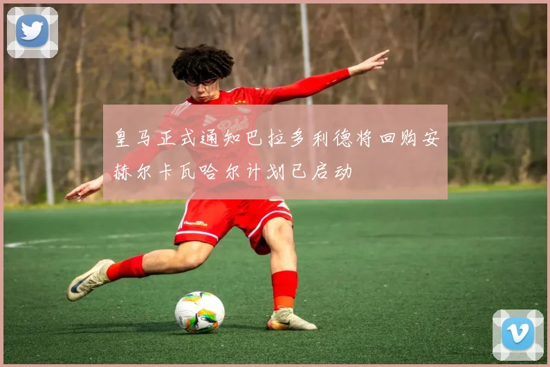 皇马正式通知巴拉多利德将回购安赫尔卡瓦哈尔计划已启动