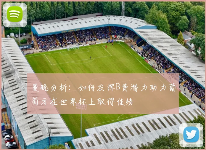 曼晚分析：如何发挥B费潜力助力葡萄牙在世界杯上取得佳绩